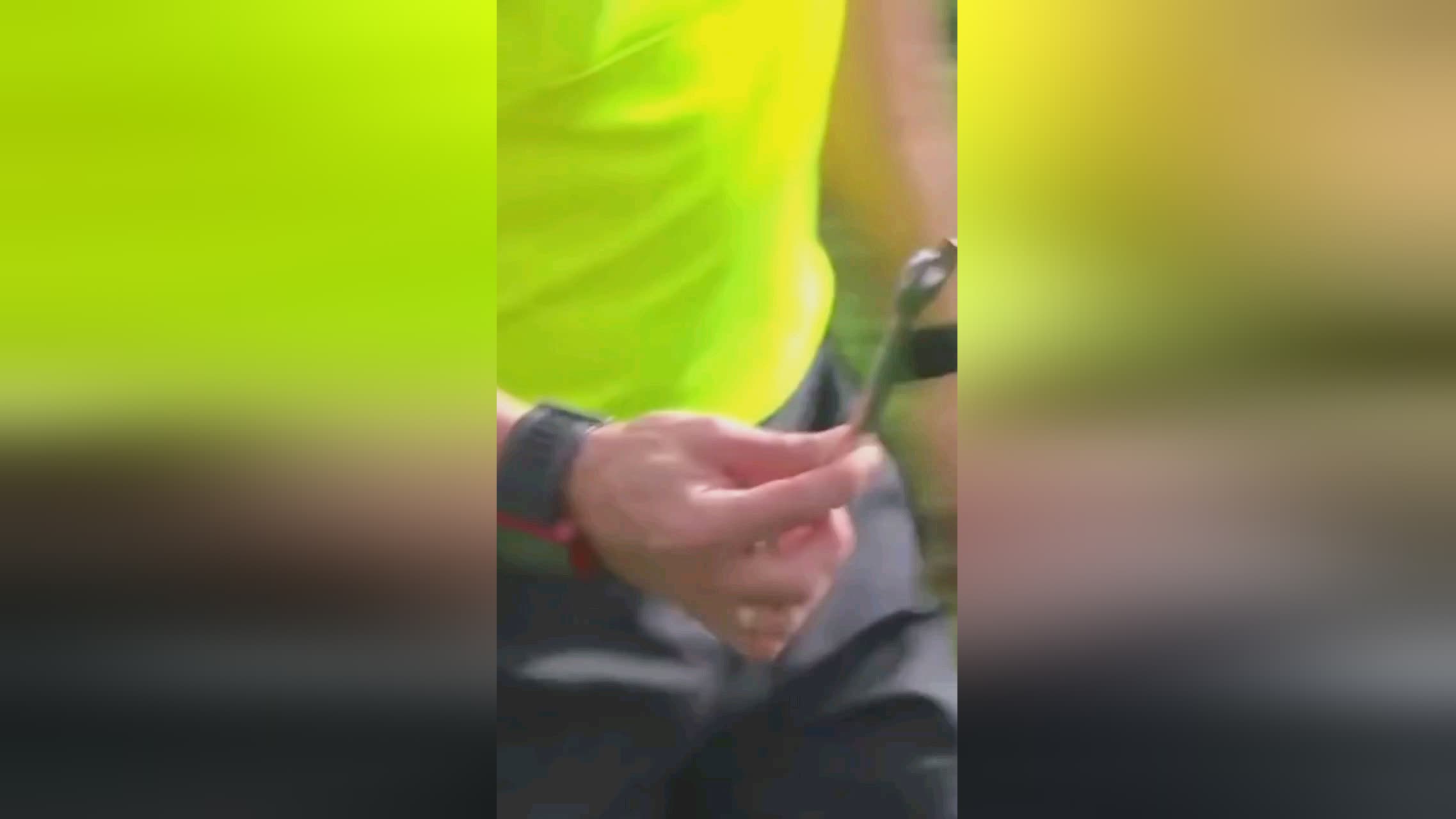 每一个国家
